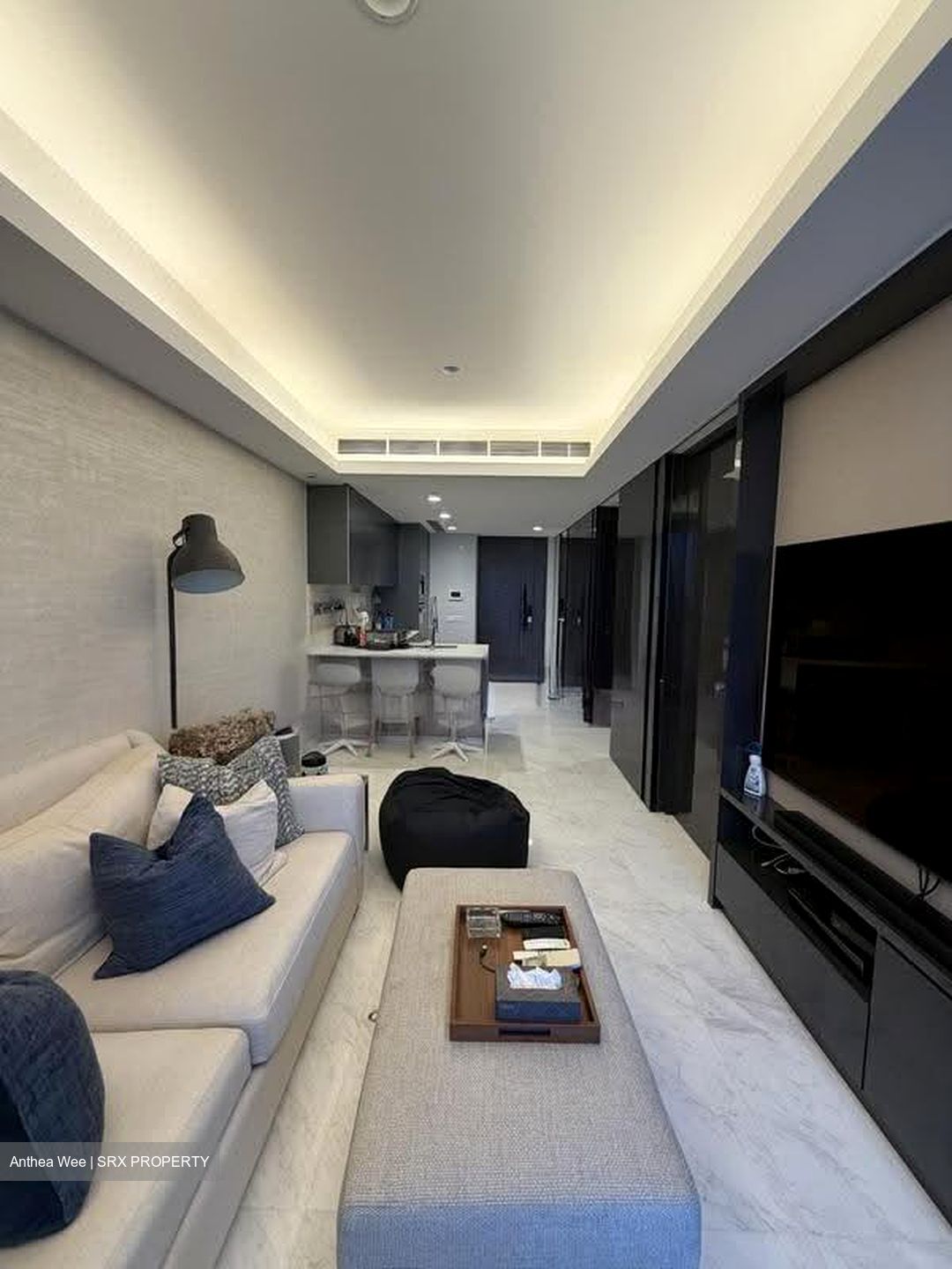 Cairnhill Nine (D9), Apartment #610392661